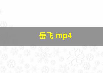 岳飞 mp4